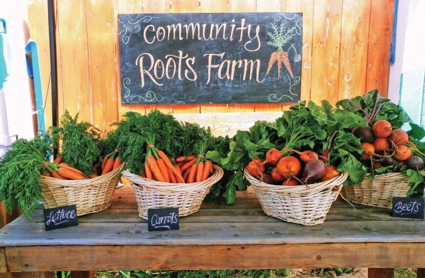 Women, Solidarity, and the Living Spirit of Farmworkers